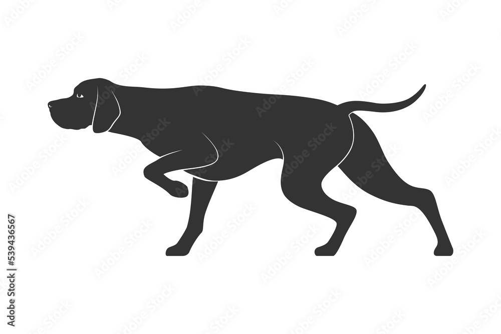 Pointer breed dog graphic icon. Hunters dog sign isolated white background. Vector illustration