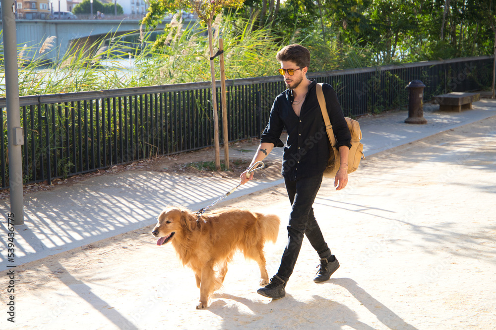 young latin man with sunglasses and beard and his brown golden retriever dog walking in the streets of a big european city. Concept pets, animals, dogs, love to retriever pets.