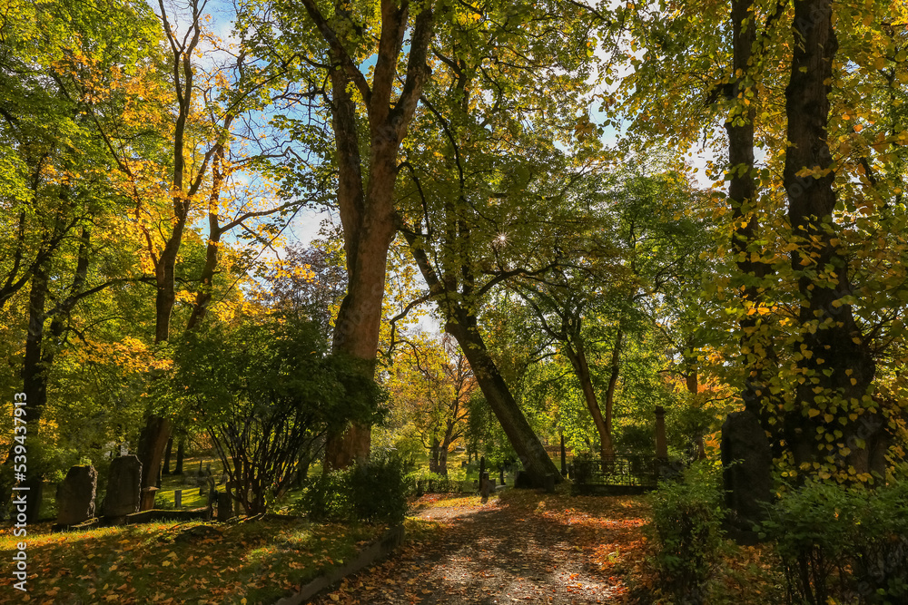 indian summer in the Nidarosdomen park  Trondheim