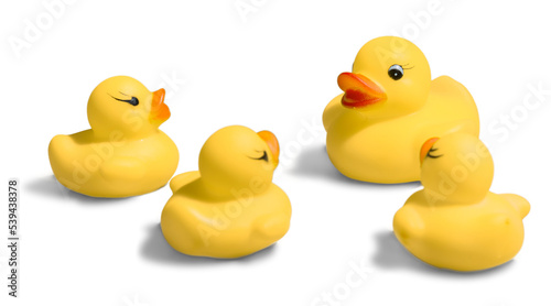 Фотография Yellow rubber ducks isolated on white
