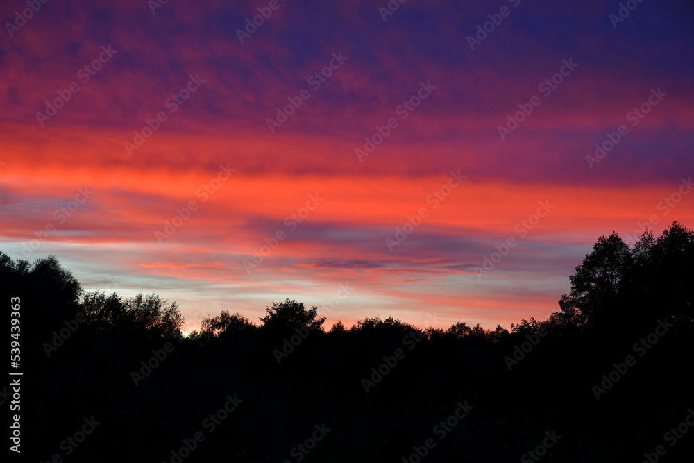 Close up on a dramatic sky in the afternoon with colorful clouds on the horizon spotted above a vast forest or moor in the middle of the summer seen on a Polish countryside from the top of a tall hill