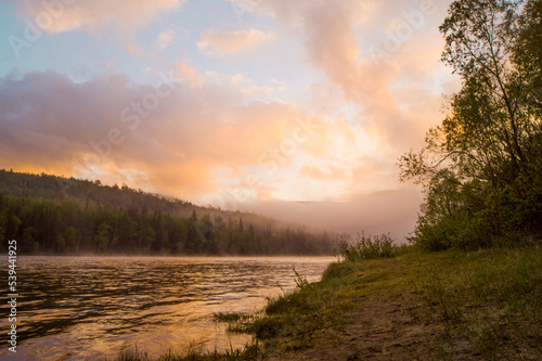 sunrise in the forest