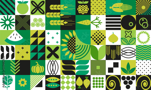 Abstract background of organic agricultural vegetarian food and simple figures in Bauhaus geometric style