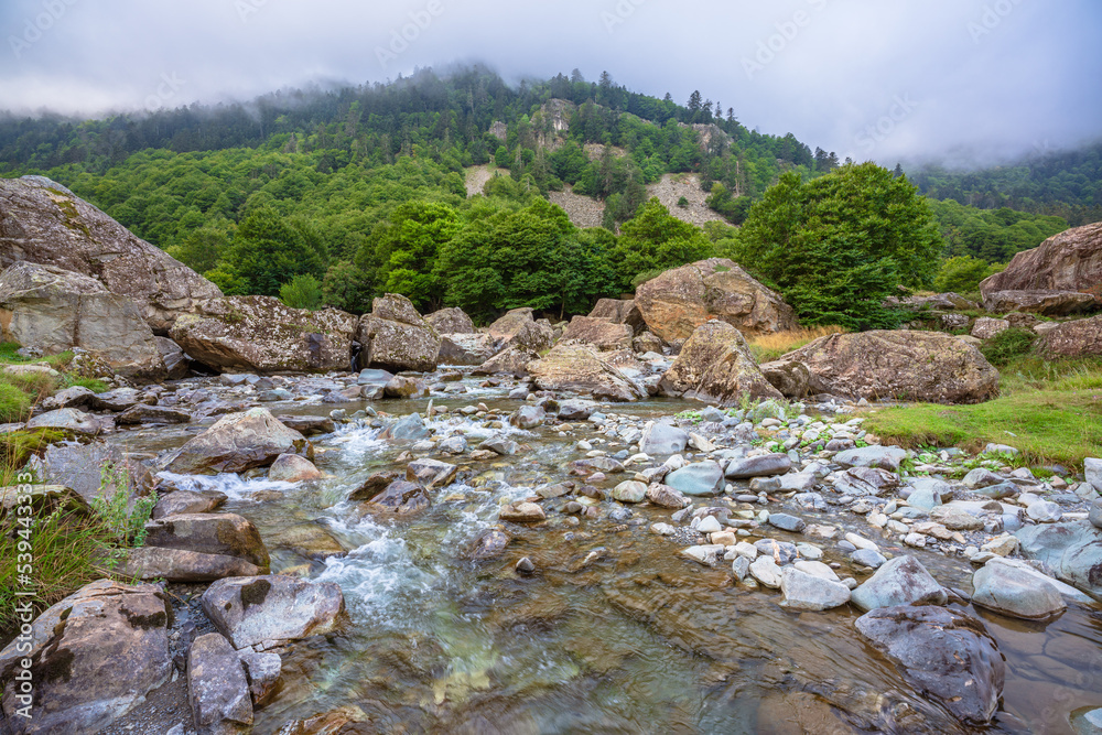 Scenic view of a river in mountain landscape. Gave de Brousset, French Pyrenees Scenic view of a river in mountain landscape. Gave de Brousset, French Pyrenees