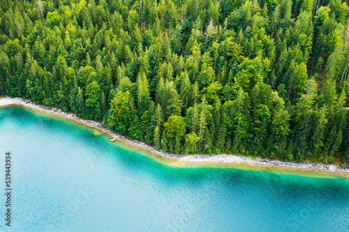 Riverside with tall pine trees and turquoise water, aerial view. 