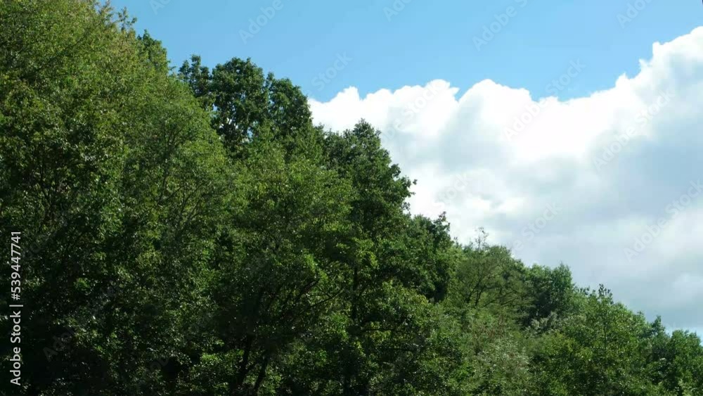 White fluffy clouds float across the blue sky over the forested mountains, time lapse White fluffy clouds float across the blue sky over the forested mountains, time lapse