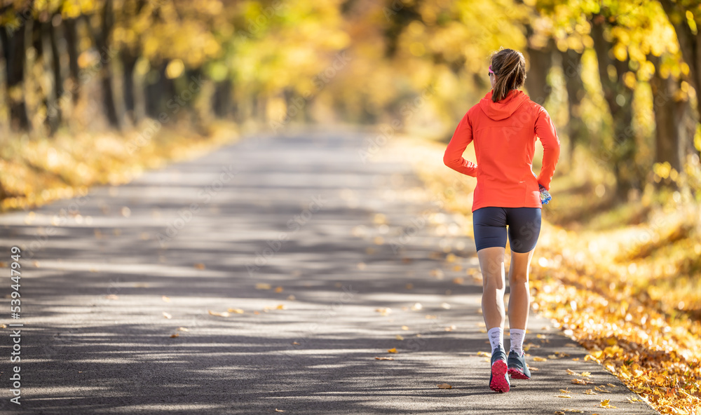 Obraz premium Rear view of young female athlete in sportswear runs in the park during warm indian summer