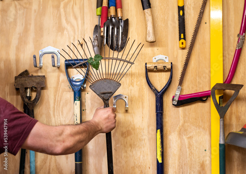 Man's arm taking lawn and leaf rake off wooden wall with various hanging DIY garden tools in shed.