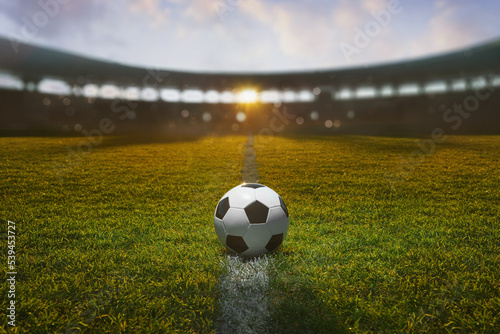 textured soccer game field at the beautiful sunset - center, midfield © Igor Link