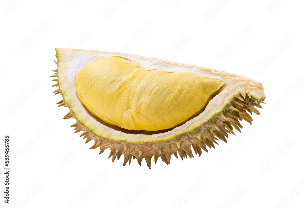 durian peels isolated on transperent png durian peels isolated on transperent png