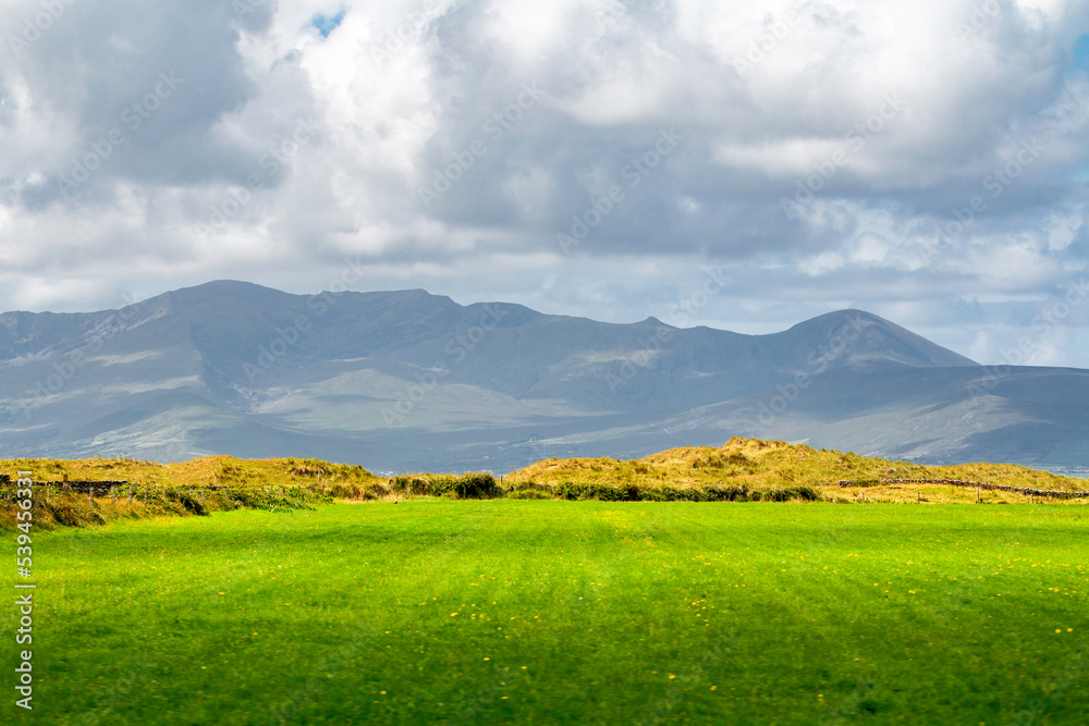 Green grass fields in ireland