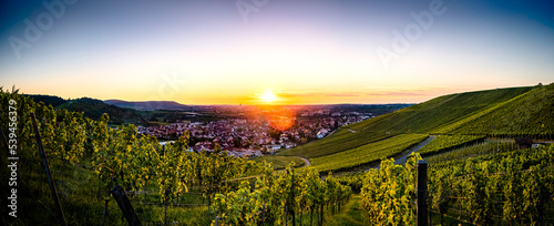 View on Weinstadt during sunset from vineyard photo