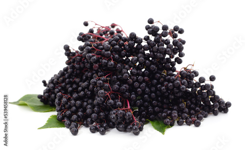  Ripe elderberry berries.