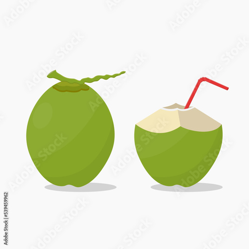 Green coconut whole and slice with straw vector illustration