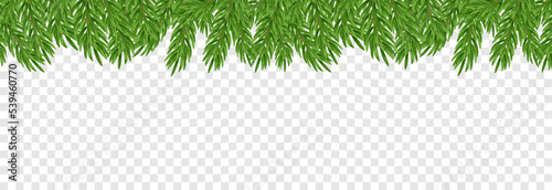 Vector fir branches. Spruce branches png, pine, spruce. Christmas decorations, Christmas background.