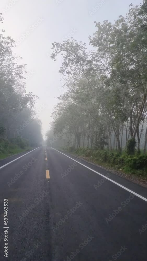 Driving on paved roads in the countryside a route in Thailand Along the way, the fog came down so thick that it was almost impossible to see. Driving on paved roads in the countryside a route in Thailand Along the way, the fog came down so thick that it was almost impossible to see.