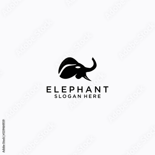 Elphant logo icon design template flat vector photo