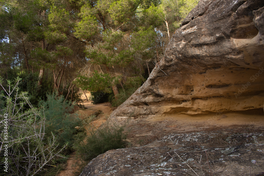 Vega Baja del Segura - Ruta de senderismo por La Caldera del Gigante y Hoyo Serrano en los términos municipales de Algorfa, Almoradí, Rojales y Benejuzar Vega Baja del Segura - Ruta de senderismo por La Caldera del Gigante y Hoyo Serrano en los términos municipales de Algorfa, Almoradí, Rojales y Benejuzar