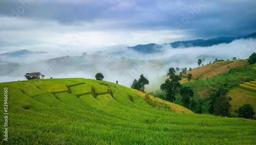 Morning light Beautiful terraced rice fields in the village landscape of Mae Chaem Phapong Phuang Rice Terrace northern Chiang Mai Thailand © ND STOCK