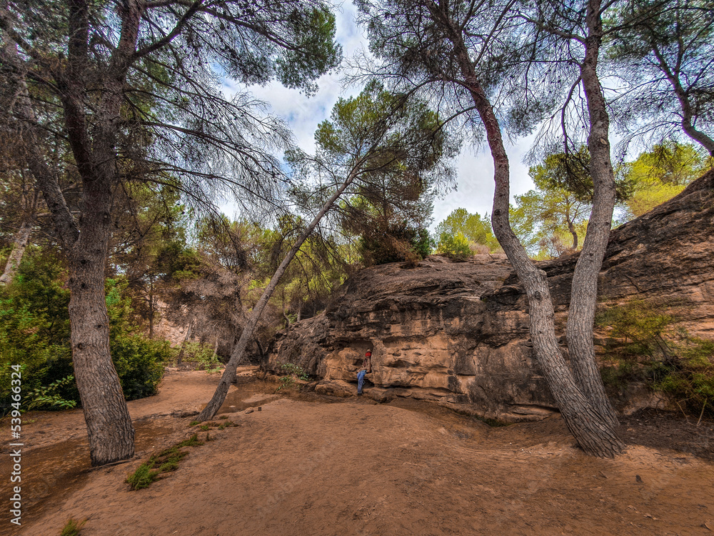 Vega Baja del Segura - Ruta de senderismo por La Caldera del Gigante y Hoyo Serrano en los términos municipales de Algorfa, Almoradí, Rojales y Benejuzar Vega Baja del Segura - Ruta de senderismo por La Caldera del Gigante y Hoyo Serrano en los términos municipales de Algorfa, Almoradí, Rojales y Benejuzar