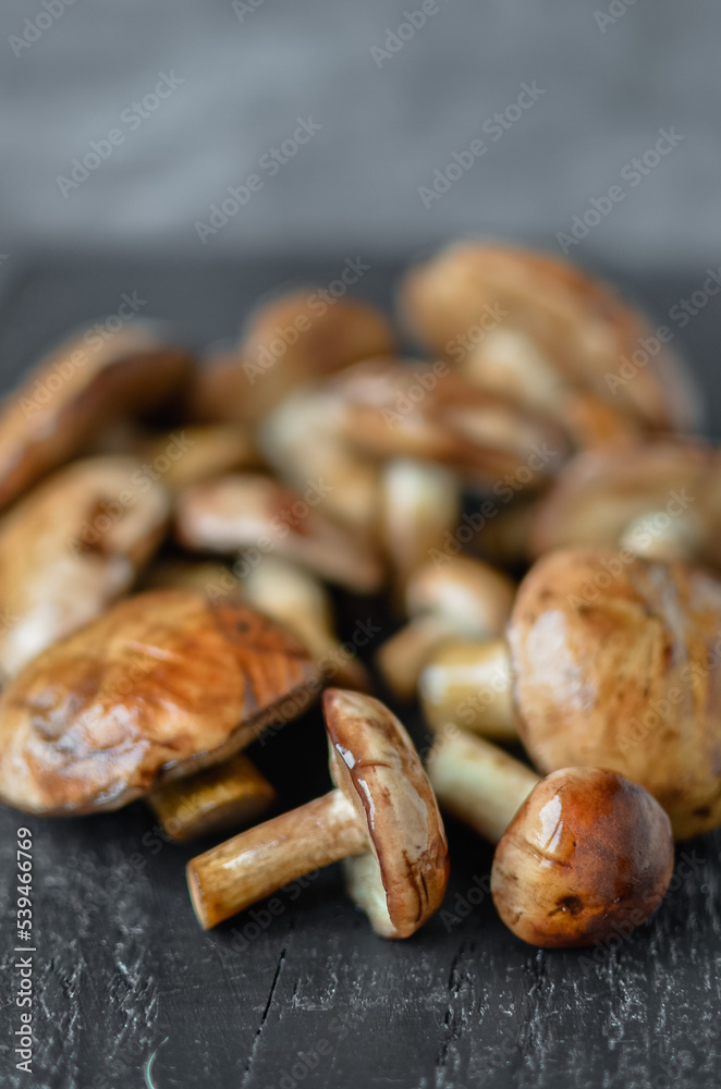 Obraz premium Mushroom Boletus at the Wooden Background. close up on wood rustic table. 