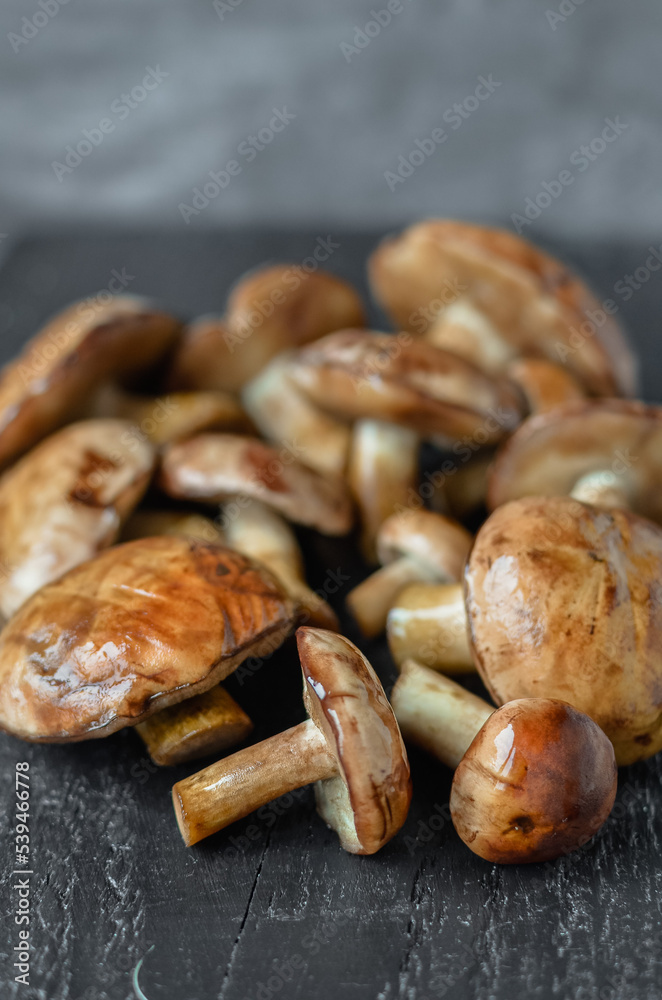 Mushroom Boletus at the Wooden Background. close up on wood rustic table. 