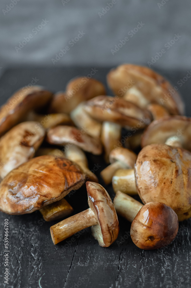 Naklejka premium Mushroom Boletus at the Wooden Background. close up on wood rustic table. 