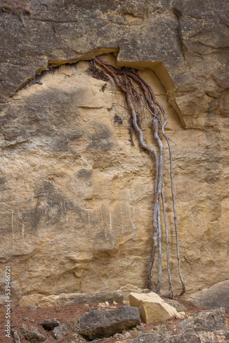 Vega Baja del Segura - Ruta de senderismo por La Caldera del Gigante y Hoyo Serrano en los términos municipales de Algorfa, Almoradí, Rojales y Benejuzar photo