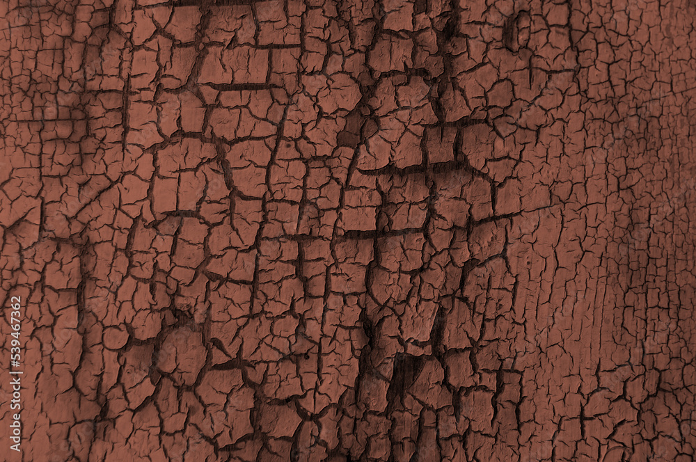 Background from wooden old boards with cracked paint. Vintage green fence texture as abstract background. Craquelure cracks. Background from wooden old boards with cracked paint. Vintage green fence texture as abstract background. Craquelure cracks.