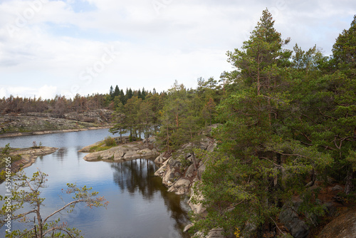 beautiful autumn landscape. lake view surrounded by forest