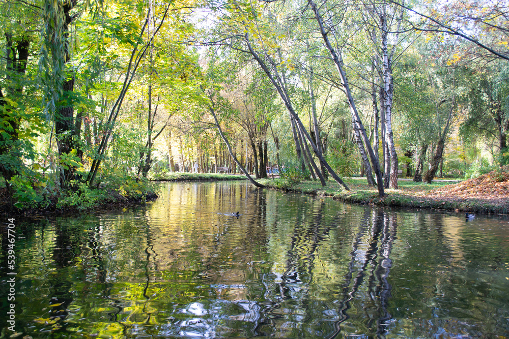 Fototapeta premium Beautiful lake in the park