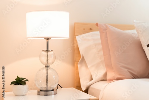 Beautiful lit lamp with a small plant on a nightstand next to the bed