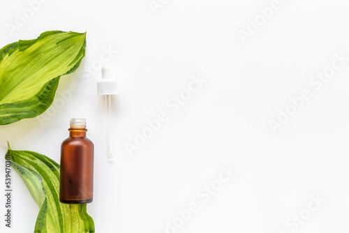 Medical herbs and flowers essential oil in bottles with plants