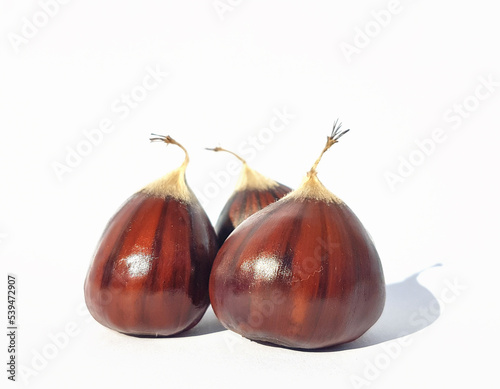 chestnut chestnuts nuts isolated in white background