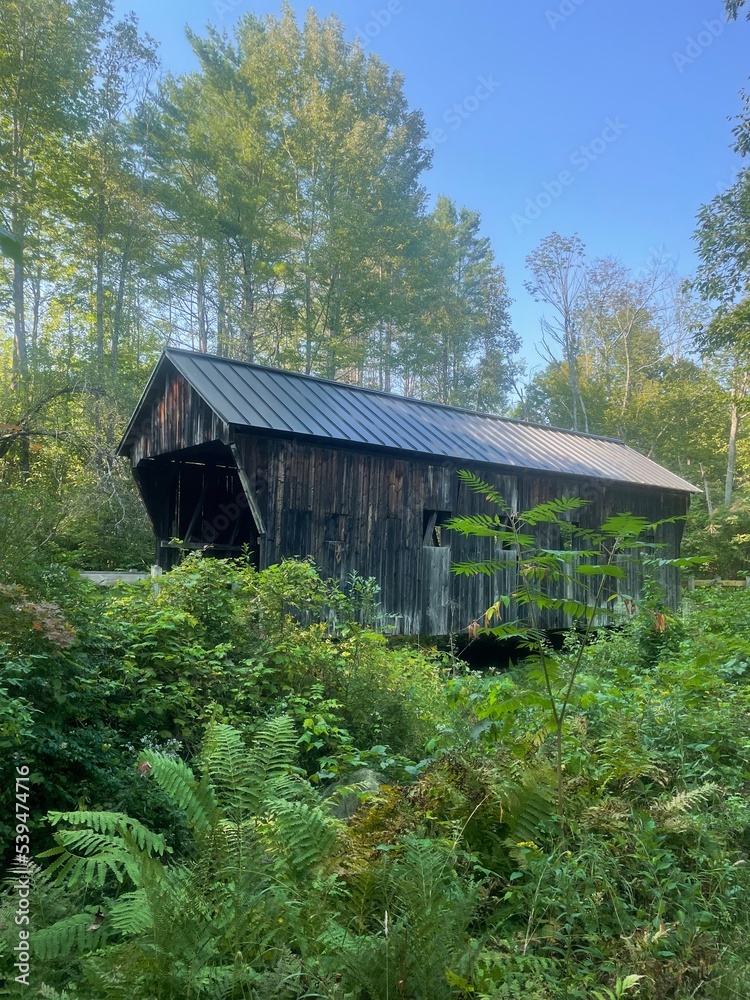 old restored wooden covered bridge in green forest on East Coast USA old restored wooden covered bridge in green forest on East Coast USA
