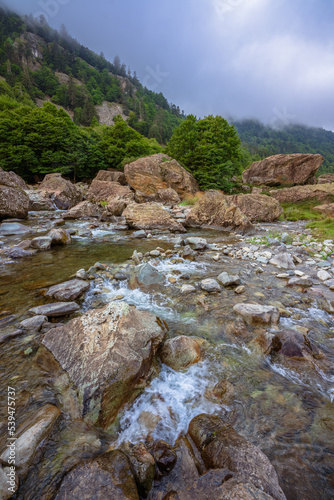 Wild stream in the mountains. Gave de Brousset, French Pyrenees, France
