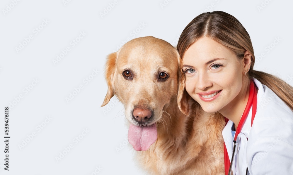 Young veterinarian doctor holding cute puppy on background