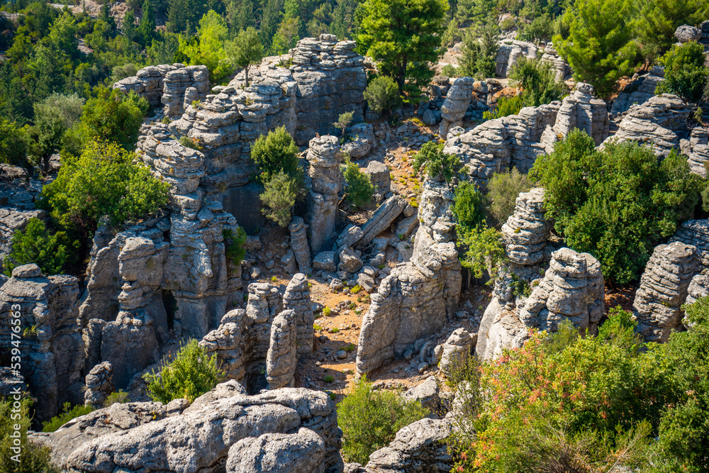 View of rock in mountains in canyon. Spectacular natural panoramic landscape with canyon cliffs and stones, Turkey