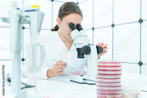 Photos young female student examines samples of genetically modified bacteria to decomp
