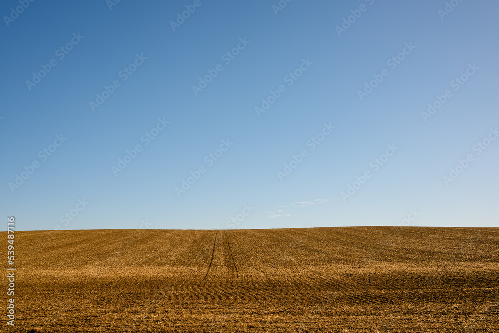 ploughed wheat field and sky