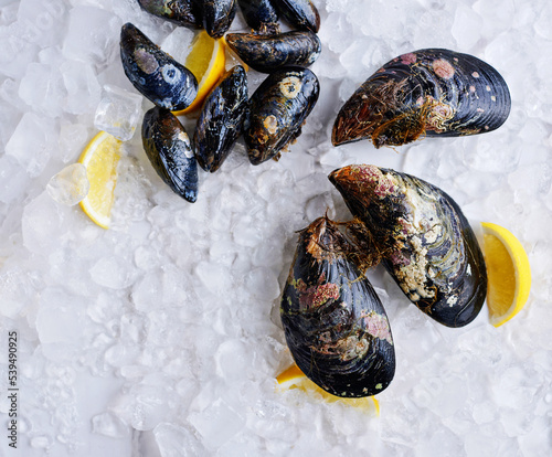 Blue mussels on crushed ice with lemon wedges