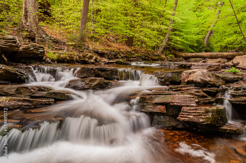 A Peaceful Place Along the Trail  Ricketts Glen State Park  Pennsylvania USA  Benton  Pennsylvania