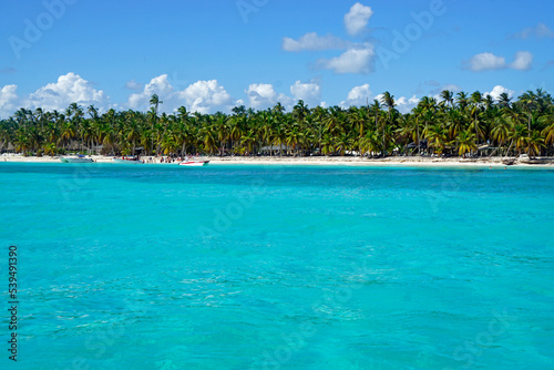 tropical island saona in the dominican republic © chriss73