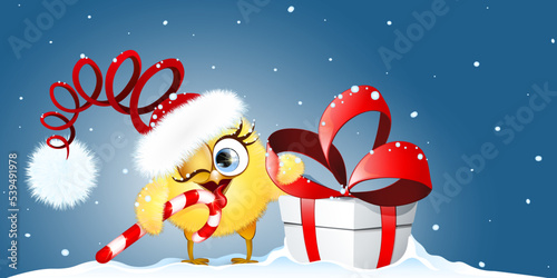 Cartoon Christmas funny little Chick Santa licking candy cane and holding big gift box with bow