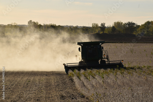 Harvesting field of soybeans with combine harvester
