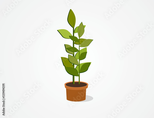 Home flower in a pot. Vector icon