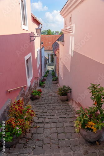 Fototapeta Naklejka Na Ścianę i Meble -  Beautiful colorful cityscape of Szentendre with autumn flower pots on a narrow stairway