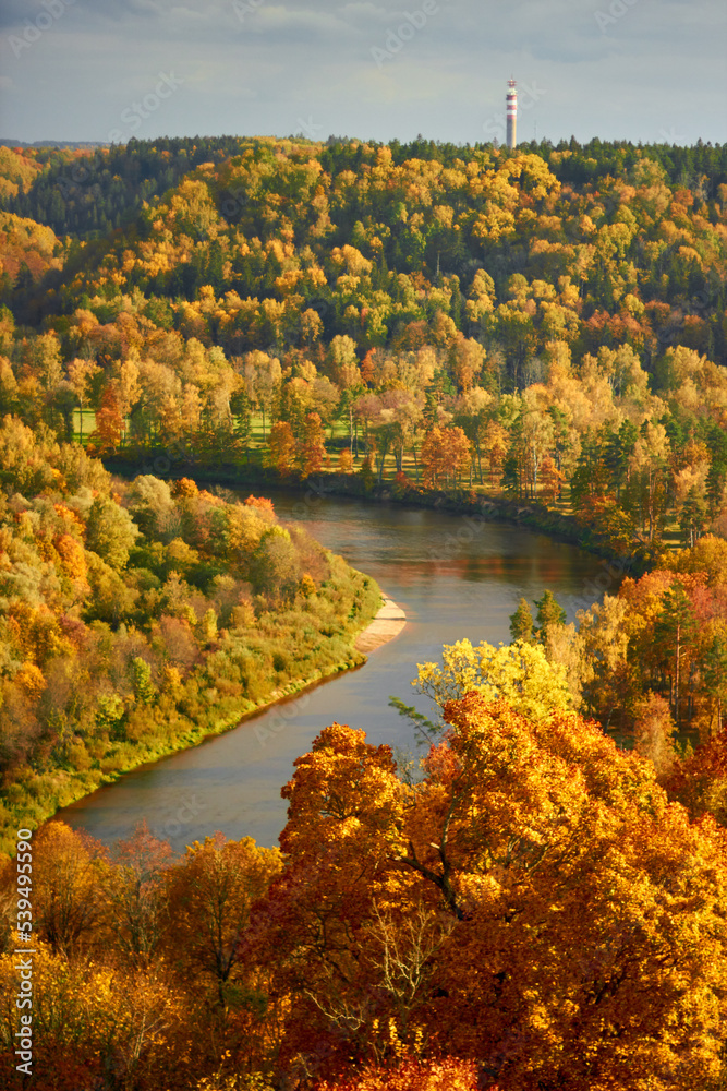 Golden autumn landscape with river Gauja and surrounding colourful forest in October in Sigulda in Latvia Golden autumn landscape with river Gauja and surrounding colourful forest in October in Sigulda in Latvia