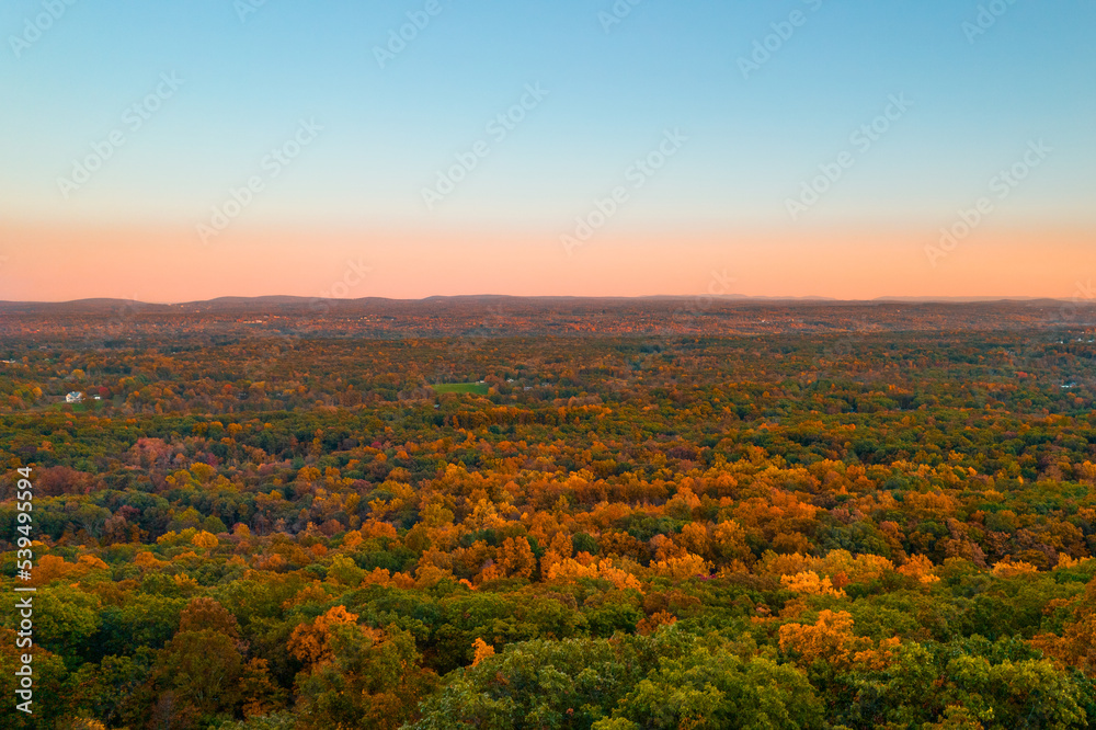 A vast landscape of autumn trees