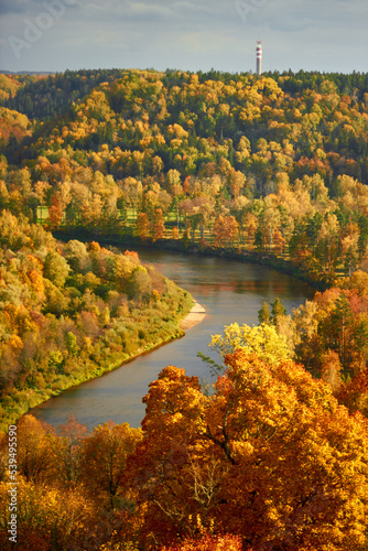 Golden autumn landscape with river Gauja and surrounding colourful forest in October in Sigulda in Latvia
